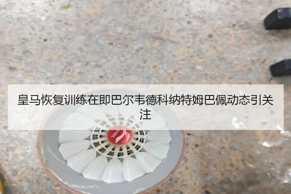 皇马恢复训练在即巴尔韦德科纳特姆巴佩动态引关注